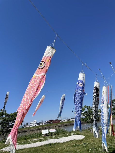 株式会社ひいらぎ│足立区・草加市│訪問介護ひいらぎ足立・相談支援ひるがお・放課後等デイサービスああるまつりか・児童発達支援ああるレインボー・ペット共生型障害者グループホームわおん
