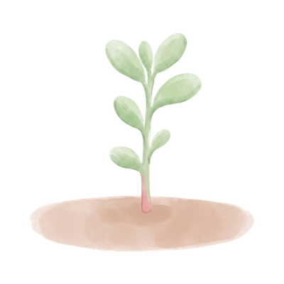 芽のイラスト