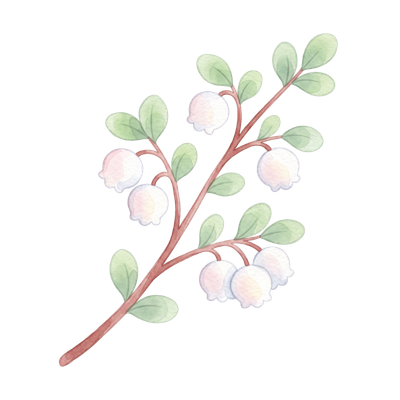 花のイラスト