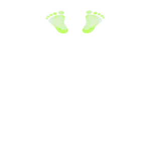 足跡両足