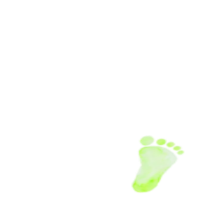 足跡右1