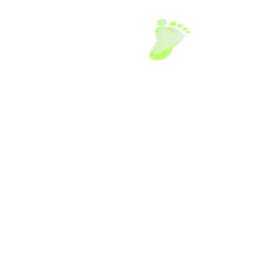 足跡右2
